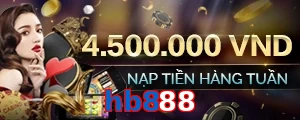 hb888